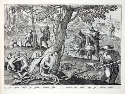 قطط الصيد مع الكلاب ، رسم توضيحي من "Venationes ، Ferarum ، Avium ، Piscium" (للصيد: وحوش برية ، طيور ، سمك) ، منقوش بواسطة Jan Collaert (1566-1628) ، حانة. فيليب جاليوس ، أمستردام (eng بواسطة جان فان دير سترايت