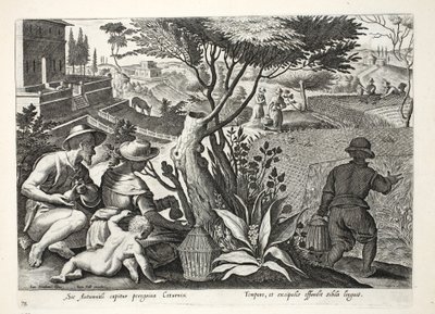صيد السمان ، رسم توضيحي من "Venationes ، Ferarum ، Avium ، Piscium" (للصيد: وحوش برية ، طيور ، أسماك) ، نقش بواسطة Jan Collaert (1566-1628) ، حانة. فيليب جاليوس ، أمستردام بواسطة جان فان دير سترايت