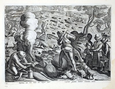 أرانب الصيد ، رسم توضيحي من "Venationes ، Ferarum ، Avium ، Piscium" (للصيد: وحوش برية ، طيور ، أسماك) ، نقش بواسطة Jan Collaert (1566-1628) ، حانة. فيليب جاليوس ، أمستردام بواسطة جان فان دير سترايت