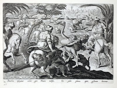 Moors on Horseback Hunting Ostriches، plate 62، Illustration from &39;Venationes، Ferarum، Avium، Piscium&39; (Of Hunting: Wild Beasts، Birds، Fish) ، منقوش بواسطة Jan Collaert (1566-1628) ، حانة. بواسطة فيليبس بواسطة جان فان دير سترايت