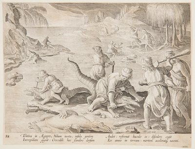 صيد التماسيح في تينتيرا ، مصر ، اللوحة 30 من سلسلة Hunts of Wild Animals والطيور والأسماك بواسطة Karel van Mallery