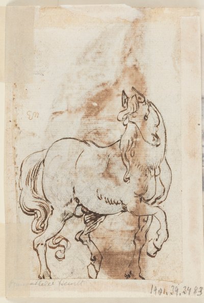 صفحة كتاب رسم ؛ دراسة لرسم القديس مجدلين. فحل بواسطة Jan van der Straet, called Stradanus