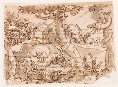 Recto: Fight between Elephants and Snakes ، من كتاب Pliny's Natural History (الكتاب 8 ، الفصل 11-12) ؛ في الخلف: نقش يتعلق بمصدر المواد بواسطة جان فان دير ستريت، يُدعى سترادانوس