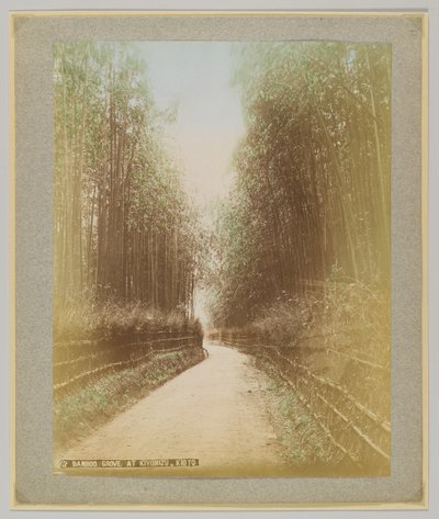Bamboo Grove في Kiyomizu ، كيوتو ، اليابان (صورة بلون أبيض وأسود ملونة يدويًا) بواسطة مصور ياباني