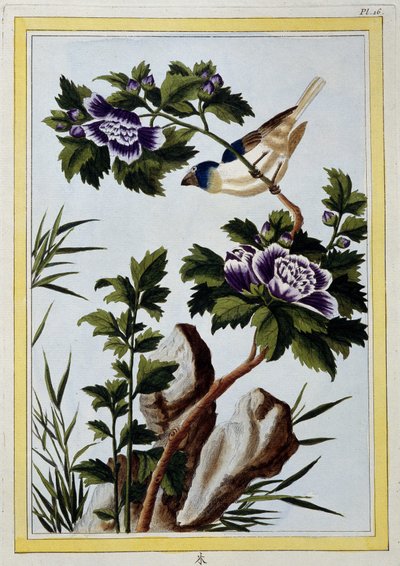 Bird - Japanese print بواسطة المدرسة اليابانية