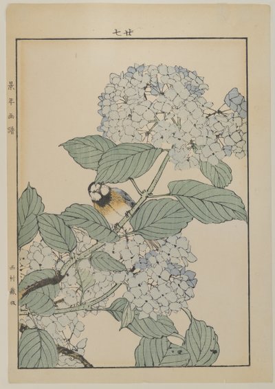 طائر مع كوبية ، فترة ميجي ، c.1868-1912 (طبعة خشبية ملونة) بواسطة المدرسة اليابانية