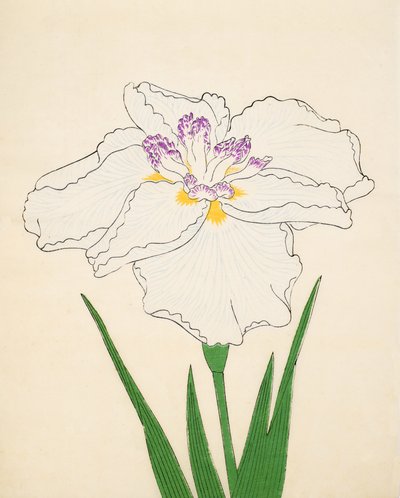 Cho-Hiyen ، رقم 91 ، 1890 (طباعة لوحة خشبية ملونة) بواسطة المدرسة اليابانية