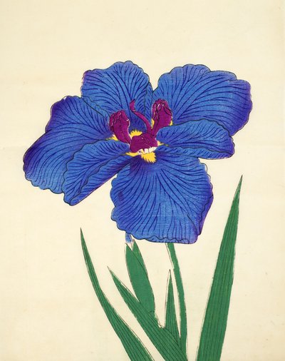 Gosetsu-no.-Mai ، رقم 9 ، 1898 بواسطة المدرسة اليابانية