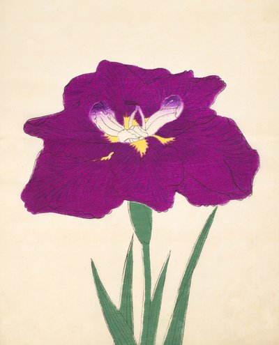 Hizume-no.-Hyoshi ، رقم 29 ، 1898 بواسطة المدرسة اليابانية