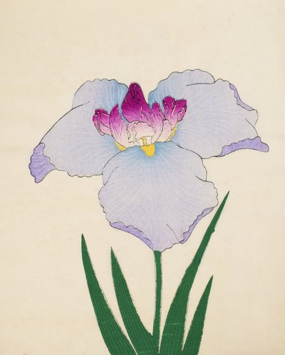 Hoshi-Zukiyo ، رقم 45 ، 1898 بواسطة المدرسة اليابانية