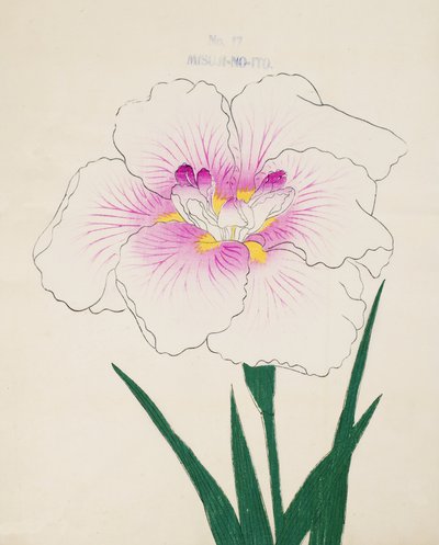 Misuji-no.-Ito ، رقم 17 ، 1898 بواسطة المدرسة اليابانية