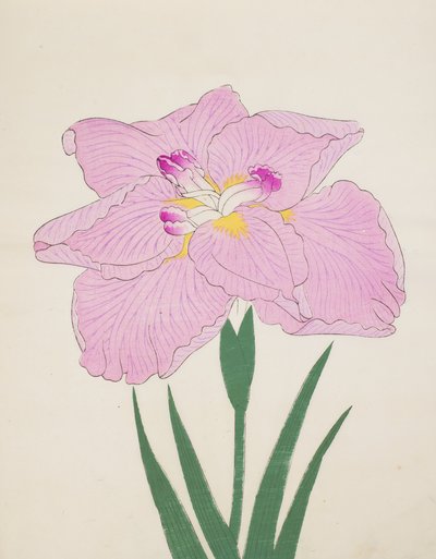 Shu-Fu-Raku ، رقم 58 ، 1890 (طباعة لوحة خشبية ملونة) بواسطة المدرسة اليابانية