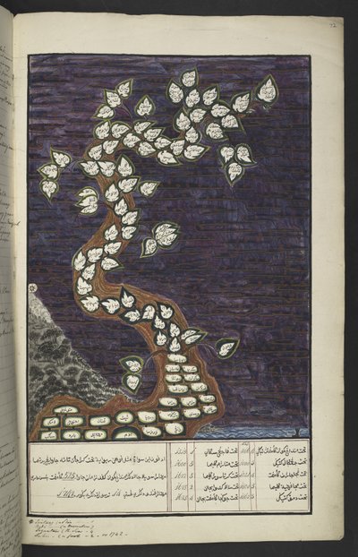 أو. 15932 ، ص. 72 و ، مخطط أنساب على شكل شجرة لحكام جاوة ، من آدم إلى باكوانا الرابع (من سوراكارتا) وماتارام الرابع (هامينجكوبوانا الرابع من يوجيكارتا) ، في مخطوطة جاوية ، باباكيم باوكون بواسطة المدرسة الجاوية