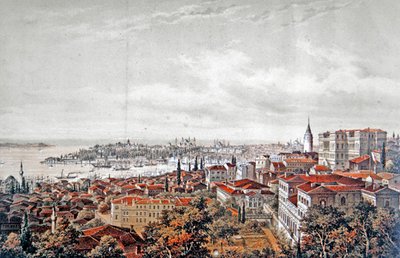 منظر عام للقسطنطينية ، حوالي عام 1850 (حجر ملون) بواسطة جان (بعد) برينديزي