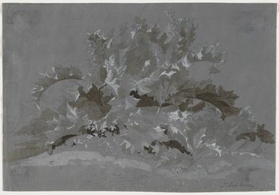 دراسة الأعشاب ، 1800-1850. بواسطة جان أنطوان لينك