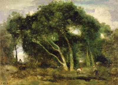 فونتينبلو: Chenes Inclines dans une Eclaircie de Foret ، حوالي 1830-40 (زيت على قماش) بواسطة جان بابتيست كميل كوروت