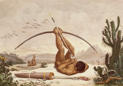Native Archers, Illustration from the Travels in the Interior of Brazil بواسطة جان بابتيست ديبرت