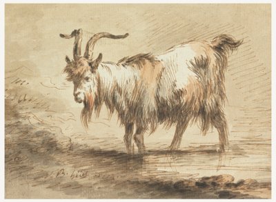 دراسة عنزة بواسطة Jean Baptiste Huet