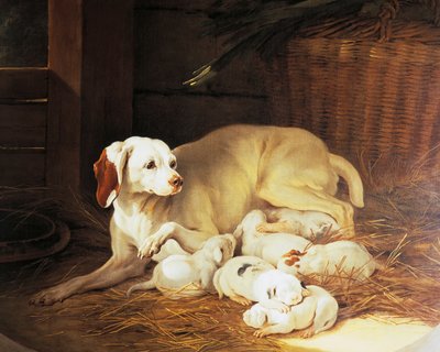 Bitch nursing puppies, detail from Lise et ses petits, by Jean-Baptiste Oudry (1686-1755), France بواسطة جان بابتيست أودري