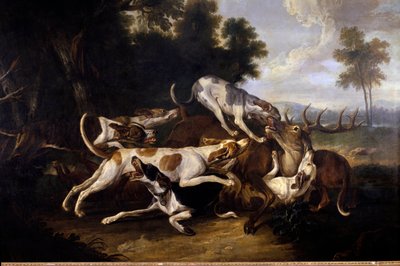 L'hallali du deer كلاب صيد تنهي غزالًا - رسم جان بابتيست أودري (1686-1755) القرن الثامن عشر الشمس 2،35x3،26 م باو ، متحف الفنون الجميلة بواسطة جان بابتيست أودري
