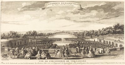 منظر من أورانجري في فرساي بواسطة Jean Baptiste Rigaud