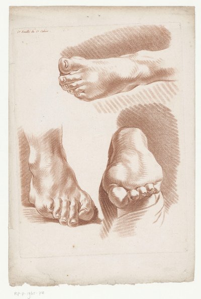 ثلاثة أقدام في أوضاع مختلفة 5.e Feuille du 5.e Cahier. (العنوان على الكائن) التراكيب مع أجزاء من جسم الإنسان (عنوان المسلسل) Cinquième Cahier de Principes de Dessein (عنوان السلسلة) بواسطة شارل لوبير وبيير ميشيل أفوليز