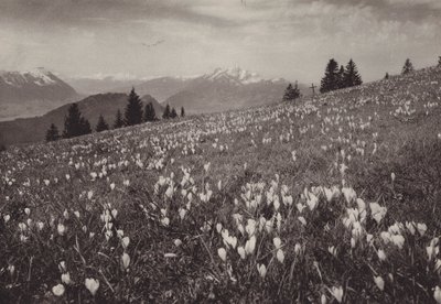 ريجي كالتباد ، Fruhling (صورة b / w) بواسطة جين جابريل