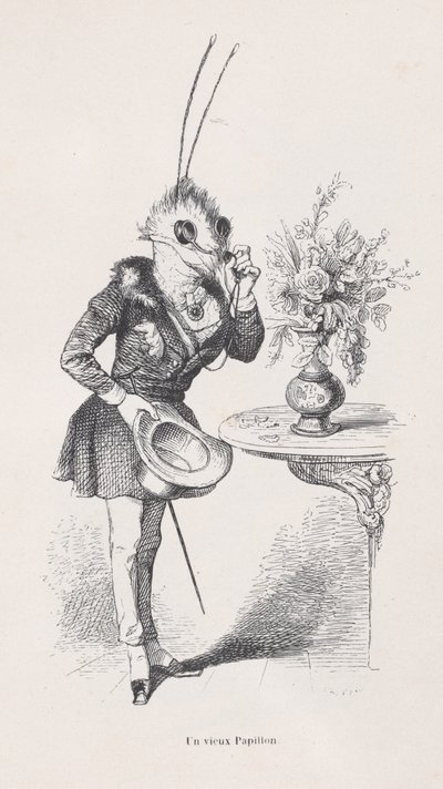 فراشة قديمة من مشاهد من الحياة الخاصة والعامة للحيوانات ، كاليفورنيا. 1837-47. بواسطة جان إغنايس إيسيدور جيرار