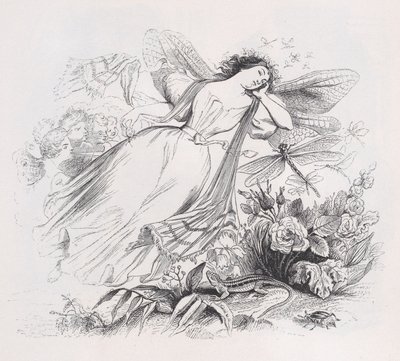 الرشيقة من الأعمال الكاملة لبيرانغر ، 1836. بواسطة جان إغنايس إيسيدور جيرار
