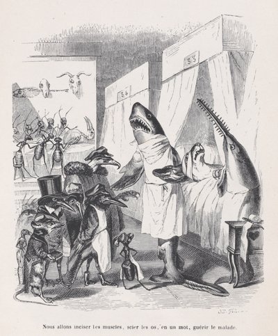سنقوم بشق العضلات ، ورؤية العظام ، في كلمة واحدة ، وشفاء المرضى من Sc ... ، ca. 1837-47. بواسطة جان إغنايس إيسيدور جيرار