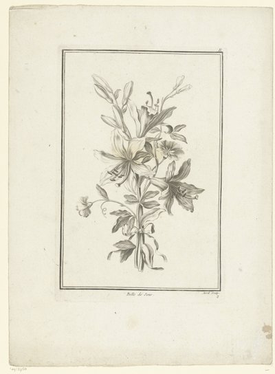 باقة زنبق بيل دي جور (العنوان على الكائن) IIe Cahier de Bouquets (عنوان السلسلة) بواسطة جان بابتيست مونوييه