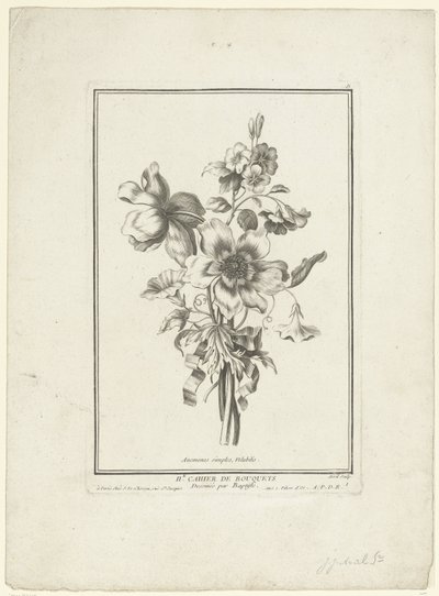 باقة شقائق النعمان والأعشاب شقائق النعمان البسيطة ، Volubilis (العنوان على الكائن) IIe Cahier de Bouquets (عنوان السلسلة) بواسطة جان بابتيست مونوييه