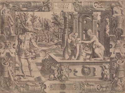 تحول أكتيون ، 1535-55. بواسطة جان ميجنون