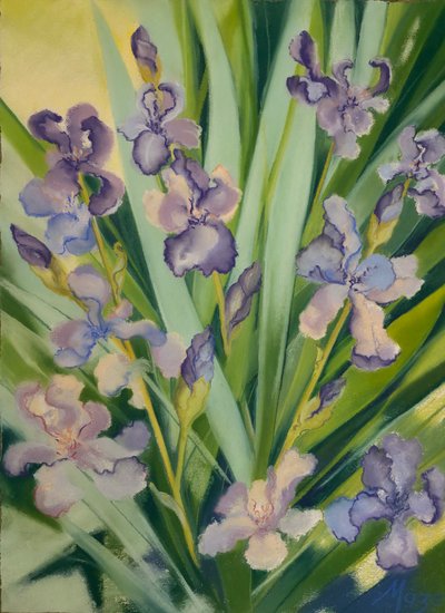 زهور السوسن في إطار، 2023 (باستيل على ورق) بواسطة جين متاهة