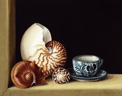 الحياة الساكنة مع Nautilus ، 1998 (مرحاض على ورق) بواسطة جيني بارون