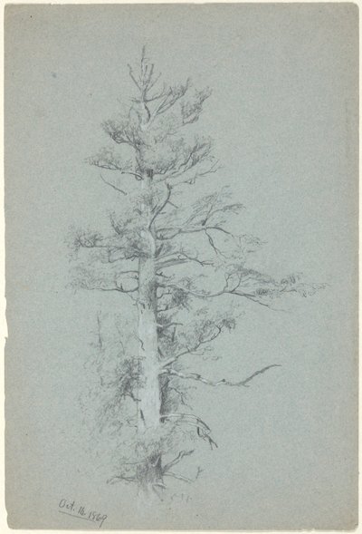 دراسة شجرة بواسطة Jervis McEntee