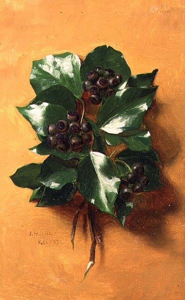 فبراير (من سلسلة اثني عشر) بواسطة جيسيكا هايلار