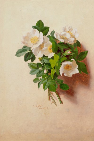 يونيو (من سلسلة اثني عشر) بواسطة جيسيكا هايلار