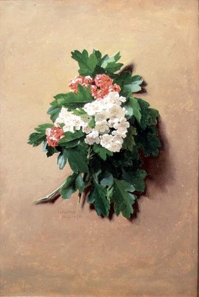 مايو (من سلسلة اثني عشر) بواسطة جيسيكا هايلار