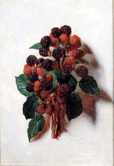 أكتوبر (من سلسلة اثني عشر) بواسطة جيسيكا هايلار