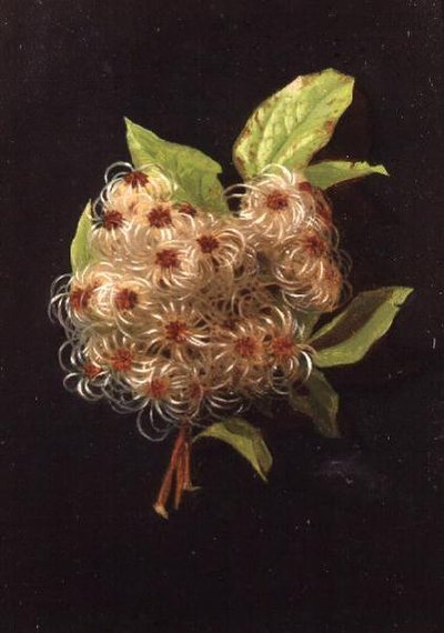 سبتمبر (من سلسلة اثني عشر) بواسطة جيسيكا هايلار