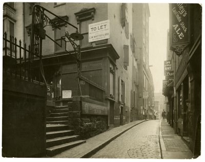 بوسطن ، الولايات المتحدة الأمريكية ، حوالي 1902-10 (صورة فضية جيلاتينية) بواسطة جيسي تاربوكس بيلز