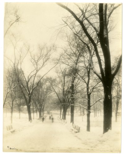 The Common ، بوسطن ، الولايات المتحدة الأمريكية ، حوالي 1902-10 (صورة فضية جيلاتينية) بواسطة جيسي تاربوكس بيلز