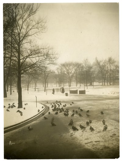 البرد غير المألوف في العام ، بوسطن ، الولايات المتحدة الأمريكية ، حوالي 1902-10 (صورة فضية من الجيلاتين) بواسطة جيسي تاربوكس بيلز