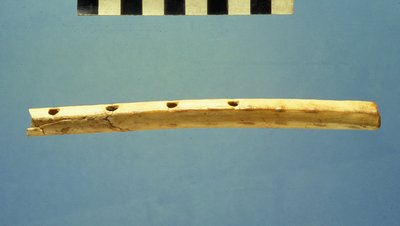 الناي ، مدينة داود ، c.799-600 قبل الميلاد (العظام) بواسطة المدرسة اليهودية