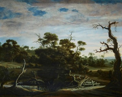 مناظر طبيعية جبلية ذات أشجار بواسطة Joachim Govertsz Camphuysen