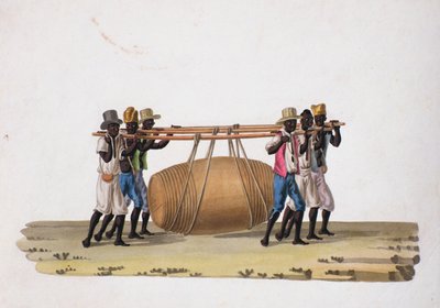 حاملات النبيذ (مرحاض على ورق) بواسطة Joaquim Candido Guillobel