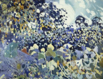 زهرة بواسطة Joaquim Mir i Trinxet