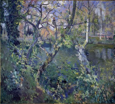 Der Regen von Moguda بواسطة Joaquim Mir i Trinxet