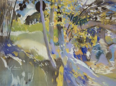 L’Aleixar بواسطة Joaquim Mir i Trinxet